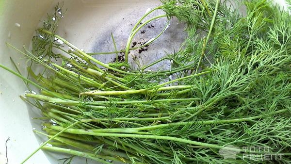 Рецепт: Сухая засолка зелени - Простая заготовка укропа на зиму без заморозки и сушки. Рецепт без весов.