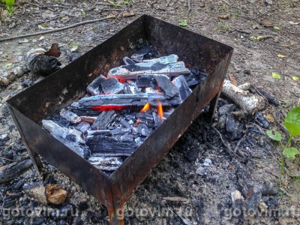 Купаты на мангале (шашлык из колбасок для жарки) Купаты на мангале (шашлык из колбасок для жарки)