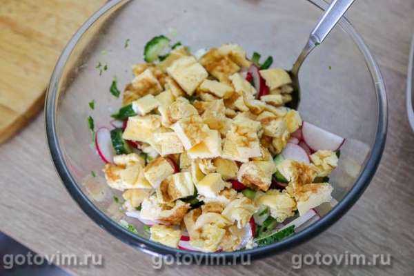 Овощной салат с редисом, огурцом, моцареллой и омлетом