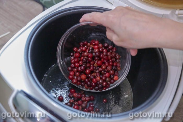Утиная грудка с клюквенным соусом в мультиварке