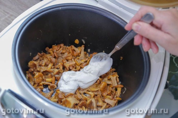 Лисички в сметане в мультиварке 