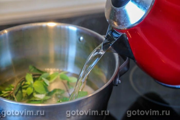 Компот из чёрной смородины с мятой