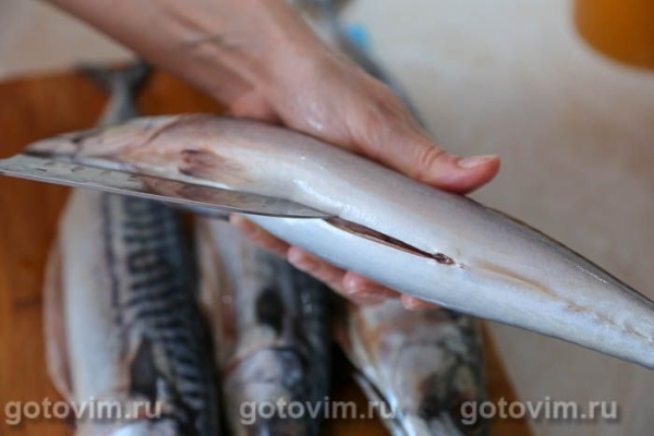 Скумбрия горячего копчения (в домашних условиях) Скумбрия горячего копчения (в домашних условиях)