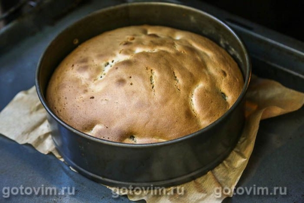 Шарлотка из медового теста с  черносливом