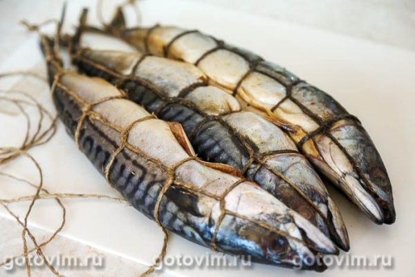 Скумбрия горячего копчения (в домашних условиях) Скумбрия горячего копчения (в домашних условиях)