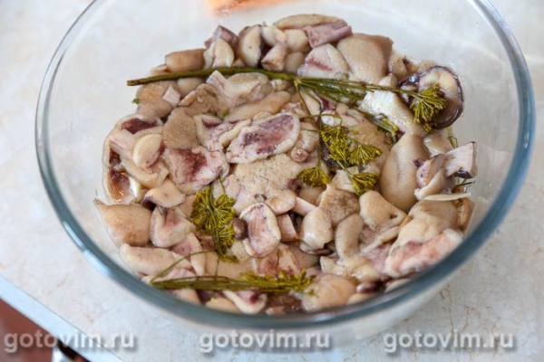 Соленые маслята