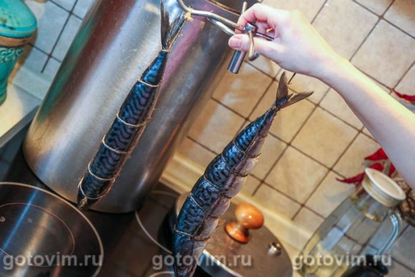 Скумбрия горячего копчения (в домашних условиях) Скумбрия горячего копчения (в домашних условиях)