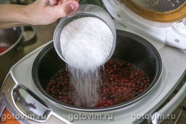 Компот из красной и чёрной смородины в мультиварке Компот из красной и чёрной смородины в мультиварке