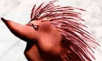 Компот из слив, груш и яблок на зиму, пошаговый рецепт с фото на 1587 ккал Компот из слив, груш и яблок на зиму, пошаговый рецепт с фото на 1587 ккал