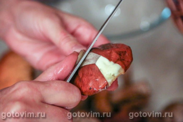 Соленые маслята