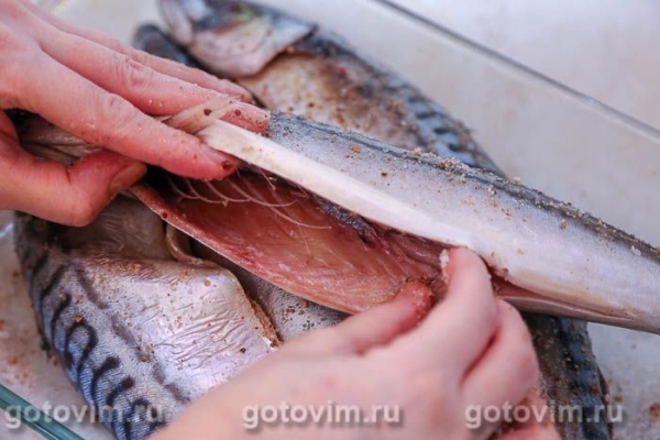 Скумбрия горячего копчения (в домашних условиях) Скумбрия горячего копчения (в домашних условиях)